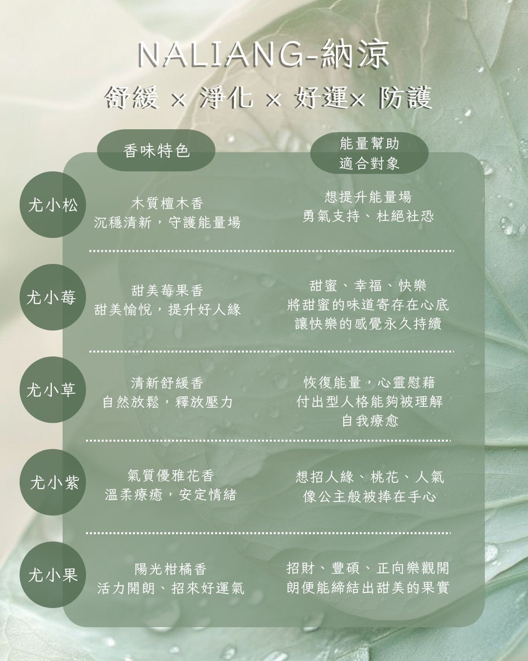 大會優惠活動-經典1+1