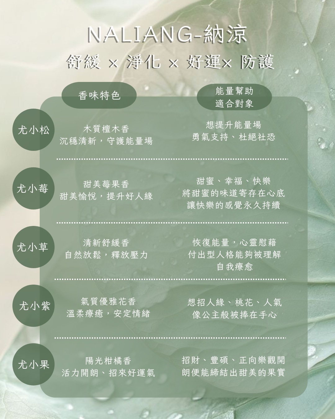 🎁 全系列香氛禮盒
