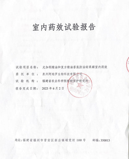 🎁 經典療癒禮盒